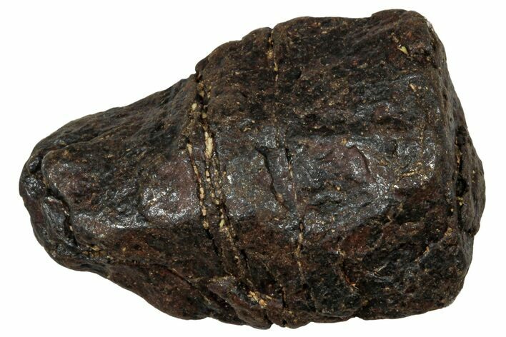 Canyon Diablo Iron Meteorite ( g) - Arizona #303552